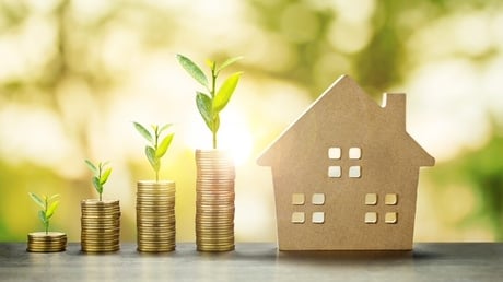 The best time to plant your property money tree - November 2024